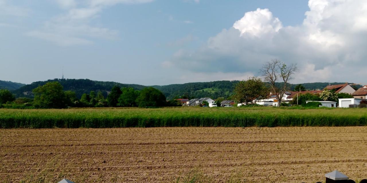 Ferienwohnung In Grenzach Exterior foto